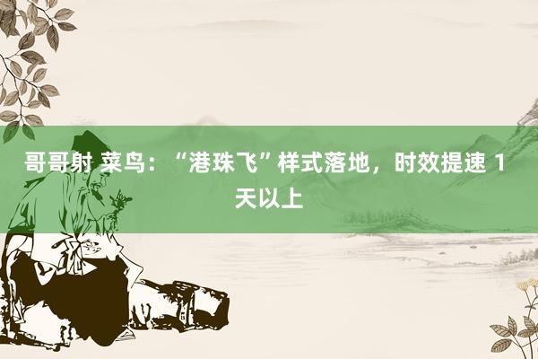 哥哥射 菜鸟：“港珠飞”样式落地，时效提速 1 天以上