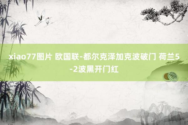 xiao77图片 欧国联-都尔克泽加克波破门 荷兰5-2波黑开门红