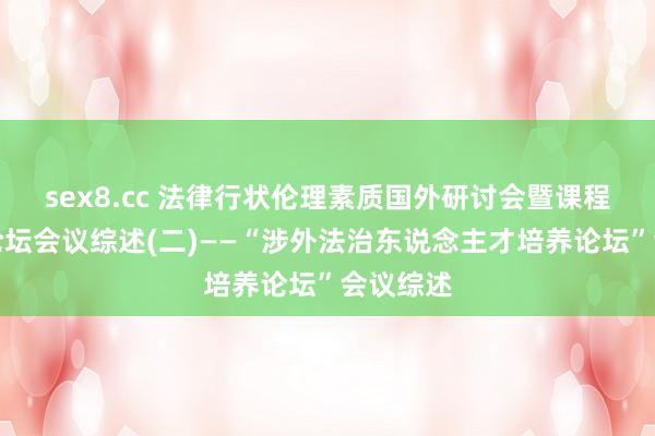 sex8.cc 法律行状伦理素质国外研讨会暨课程念念政论坛会议综述(二)——“涉外法治东说念主才培养论坛”会议综述