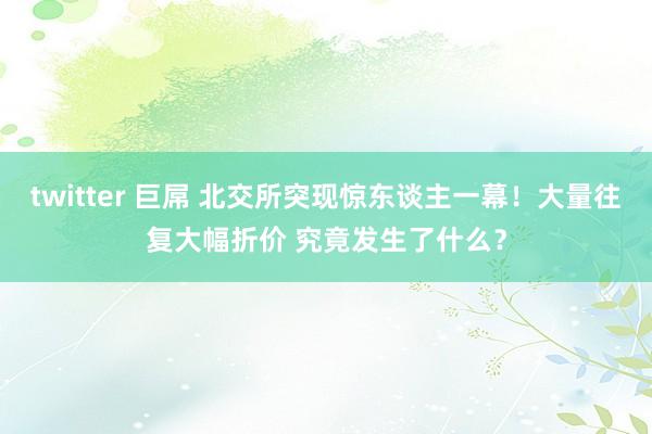 twitter 巨屌 北交所突现惊东谈主一幕！大量往复大幅折价 究竟发生了什么？