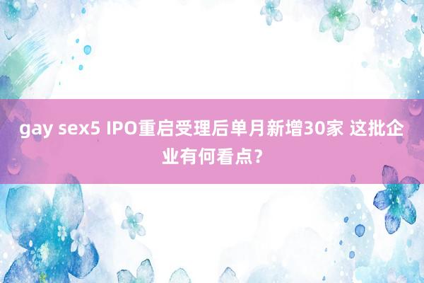 gay sex5 IPO重启受理后单月新增30家 这批企业有何看点？