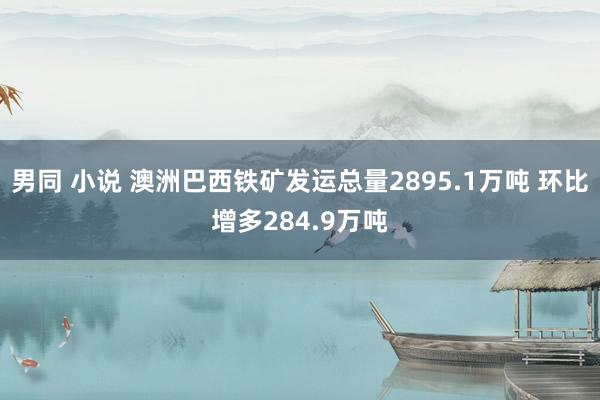 男同 小说 澳洲巴西铁矿发运总量2895.1万吨 环比增多284.9万吨