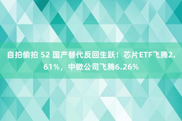 自拍偷拍 52 国产替代反回生跃！芯片ETF飞腾2.61%，中微公司飞腾6.26%