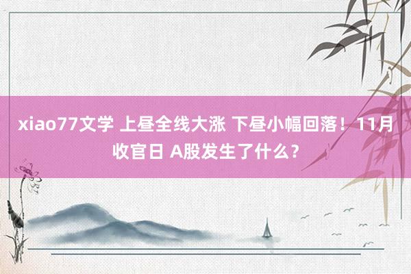 xiao77文学 上昼全线大涨 下昼小幅回落！11月收官日 A股发生了什么？