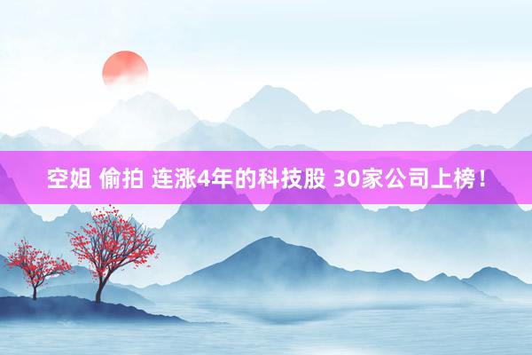 空姐 偷拍 连涨4年的科技股 30家公司上榜！