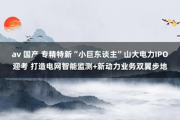 av 国产 专精特新“小巨东谈主”山大电力IPO迎考 打造电网智能监测+新动力业务双翼步地