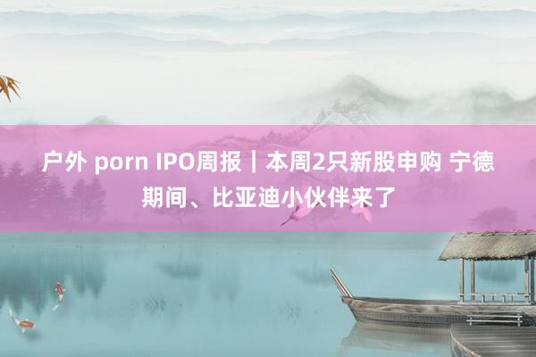 户外 porn IPO周报｜本周2只新股申购 宁德期间、比亚迪小伙伴来了